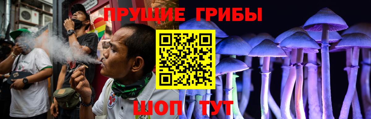 Псилоцибиновые грибы GOLDEN TEACHER  Галлюциногенные грибы Psilocybine cubensis  купить наркотики сайты  Новотроицк  Вход с VPN 